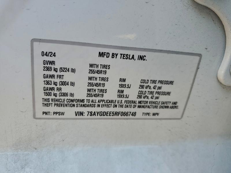 2024 TESLA MODEL Y #3305446076