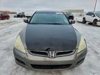 Lot #3311587778 2006 HONDA ACCORD EX