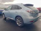 Lot #3308473303 2010 LEXUS RX 350