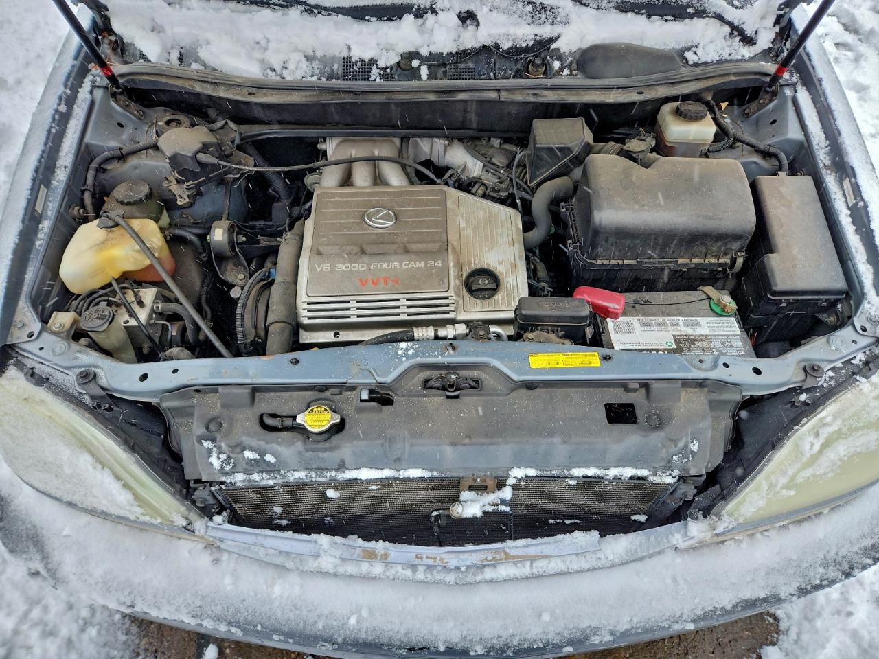 Lot #3304621443 2002 LEXUS RX 300