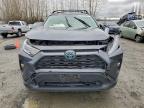 Lot #3305640768 2019 TOYOTA RAV4 XLE