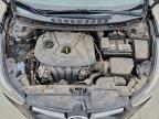 Lot #3305293319 2014 HYUNDAI ELANTRA SE