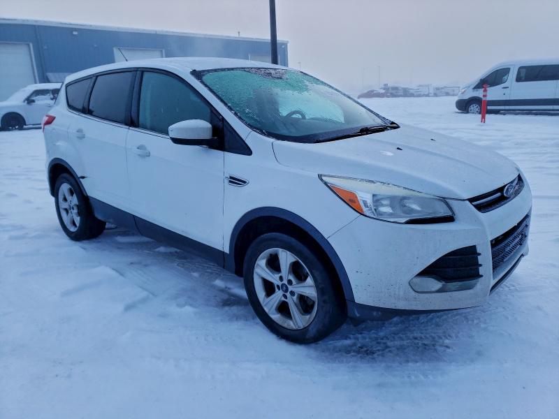 2013 FORD ESCAPE SE #3302708079