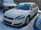 Lot #3305303312 2007 CHEVROLET IMPALA SUP
