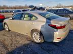 Lot #3303778435 2014 LEXUS ES 300H