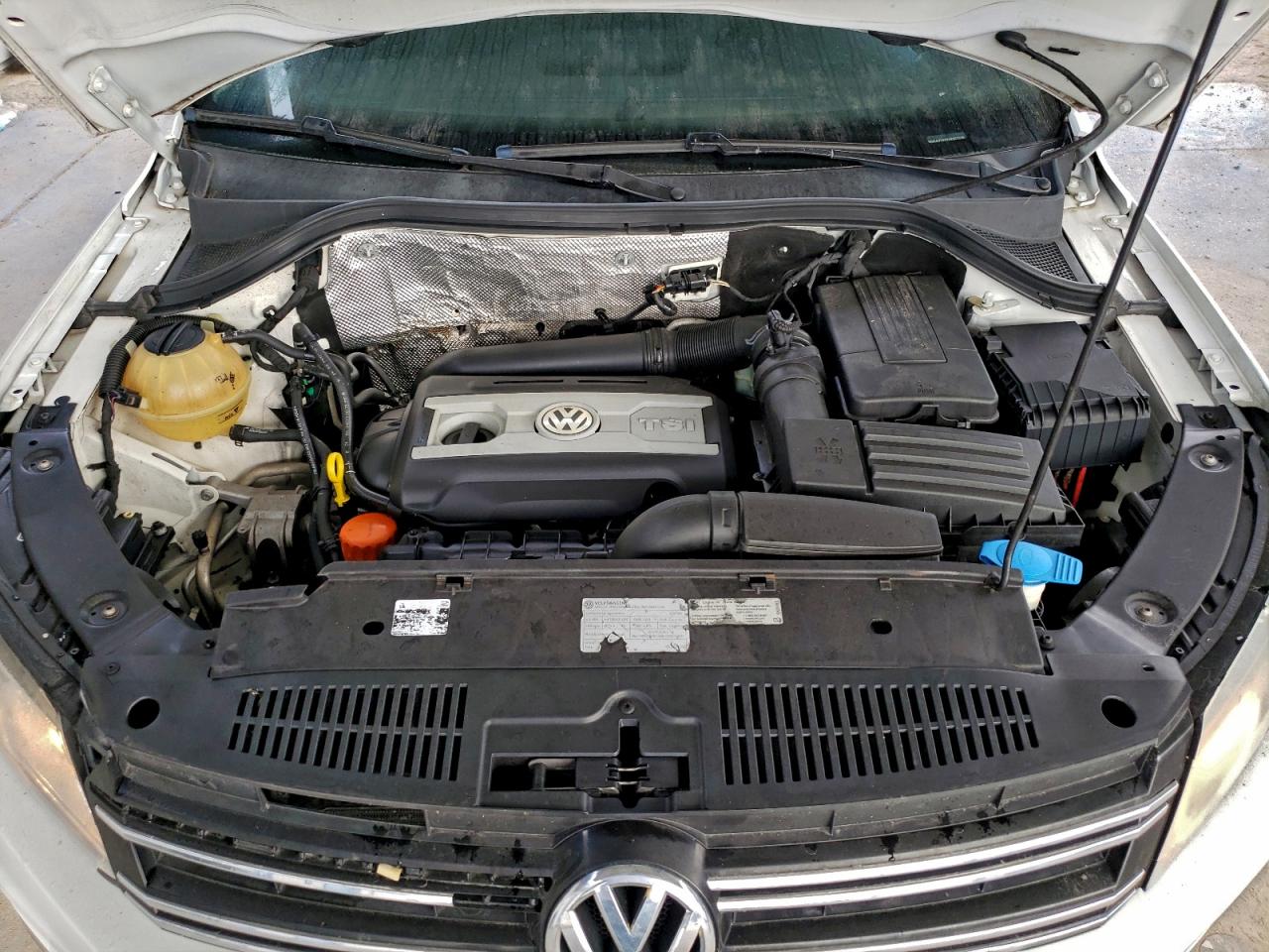 Lot #3316754404 2017 VOLKSWAGEN TIGUAN S