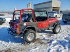 Lot #3304801313 1994 JEEP WRANGLER /