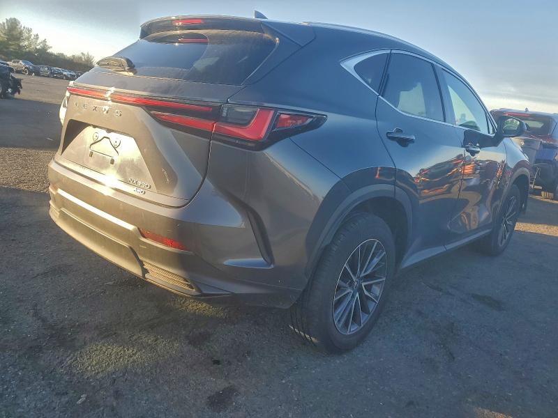 2025 LEXUS NX 350 BAS #3303726416