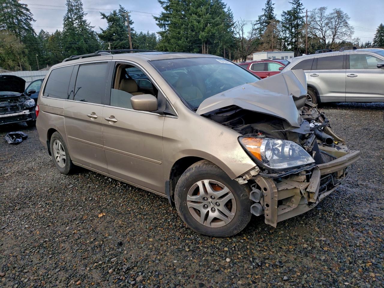 Lot #3317738073 2005 HONDA ODYSSEY EX