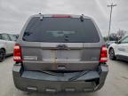 Lot #3304549456 2010 FORD ESCAPE XLT