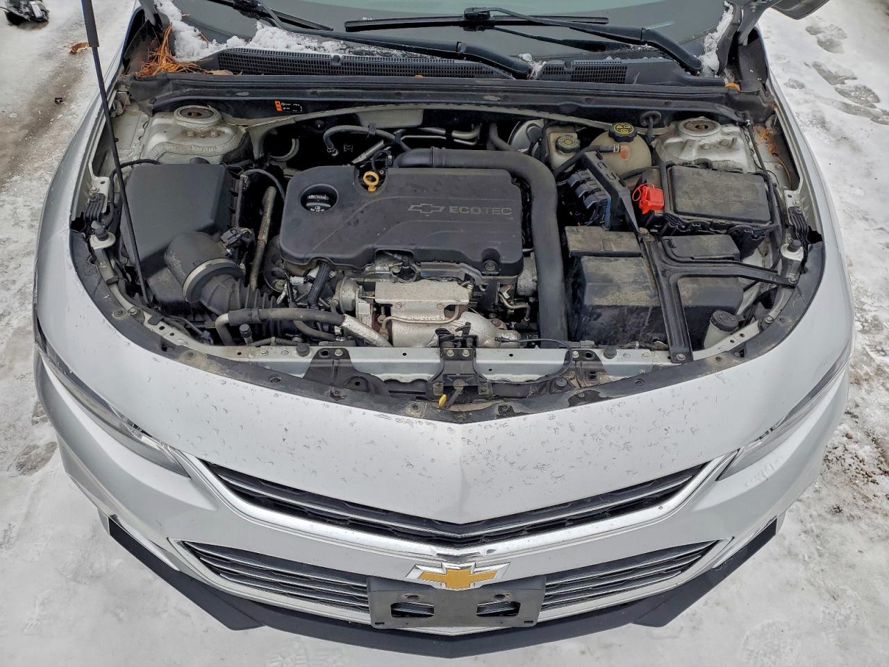 Lot #3311632230 2016 CHEVROLET MALIBU LS