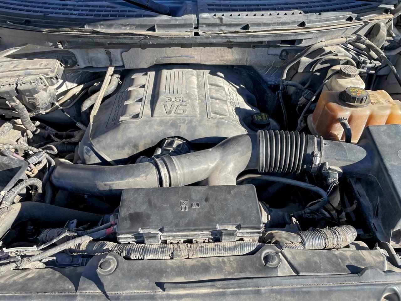 Lot #3308206181 2011 FORD F150 SUPER