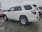 Lot #3304535452 2014 TOYOTA 4RUNNER SR