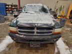 Lot #3312375780 2002 DODGE DAKOTA