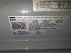 Lot #3304535437 2024 CHEVROLET SILVERADO