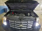Lot #3316745425 2010 CADILLAC ESCALADE P