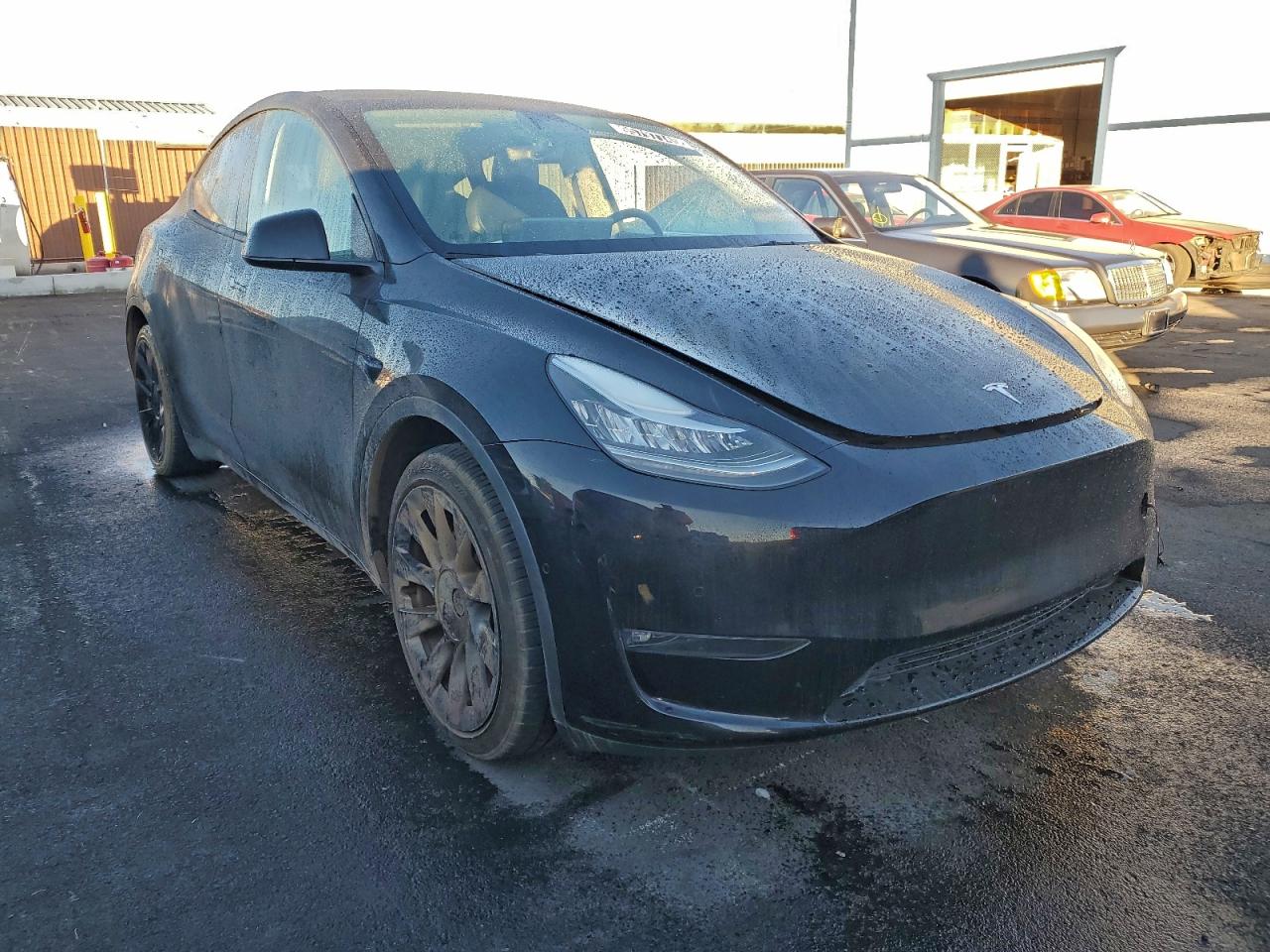 Lot #3318116369 2022 TESLA MODEL Y