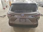 Lot #3316951103 2023 TOYOTA SIENNA XLE