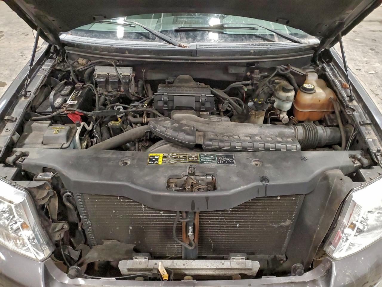 Lot #3303705040 2004 FORD F150