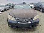 Lot #3305713751 2007 LEXUS ES 350