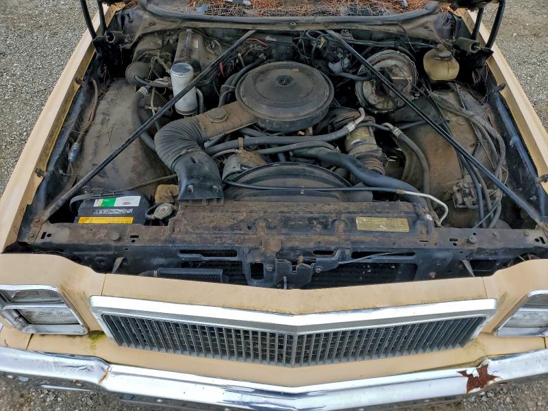 1977 CHEVROLET EL CAMINO #3304631964