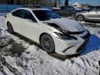 Lot #3316720407 2023 LEXUS ES 300H BA