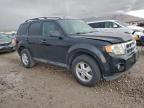 Lot #3319155525 2012 FORD ESCAPE XLT