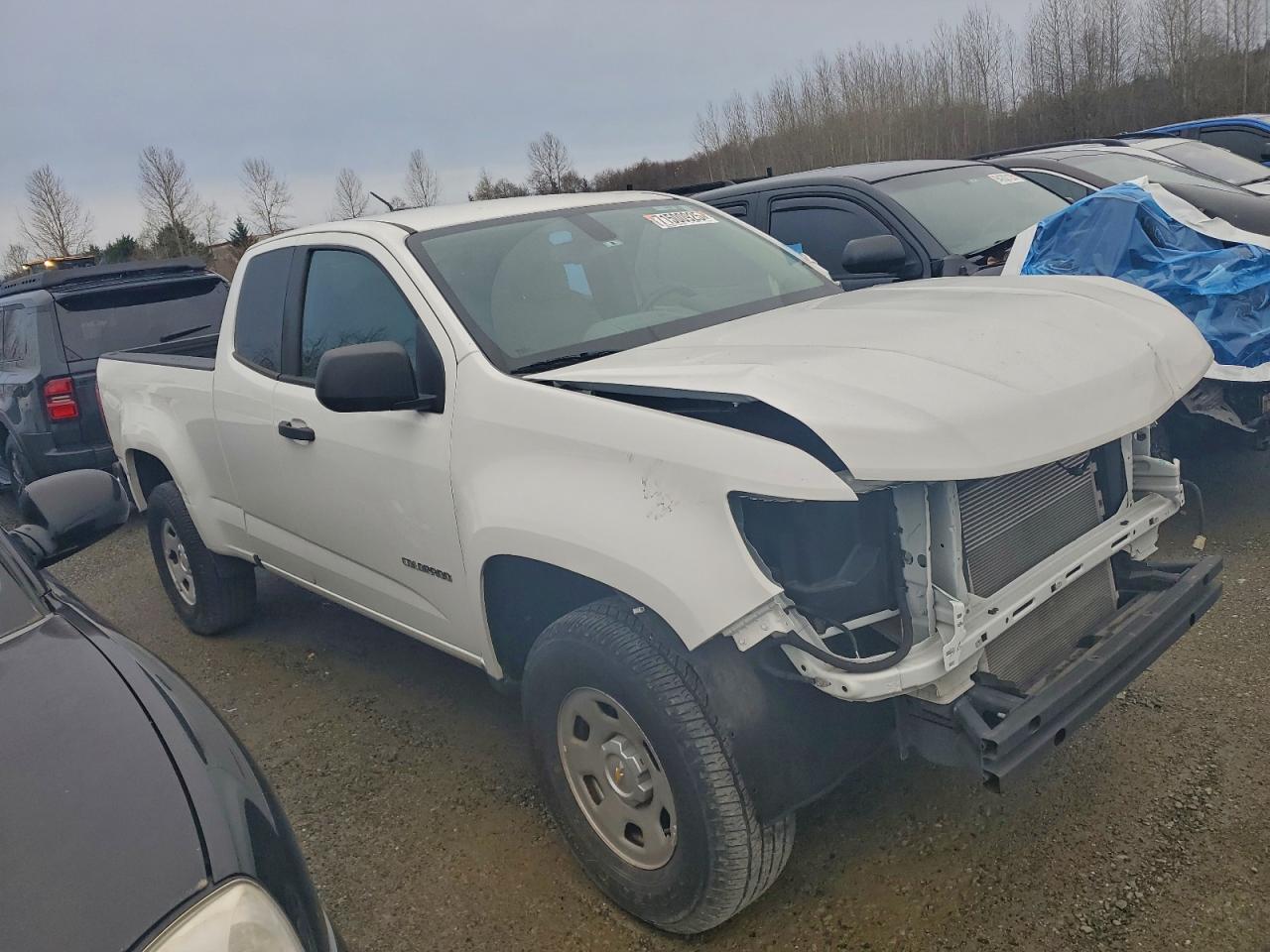 Lot #3309521581 2020 CHEVROLET COLORADO