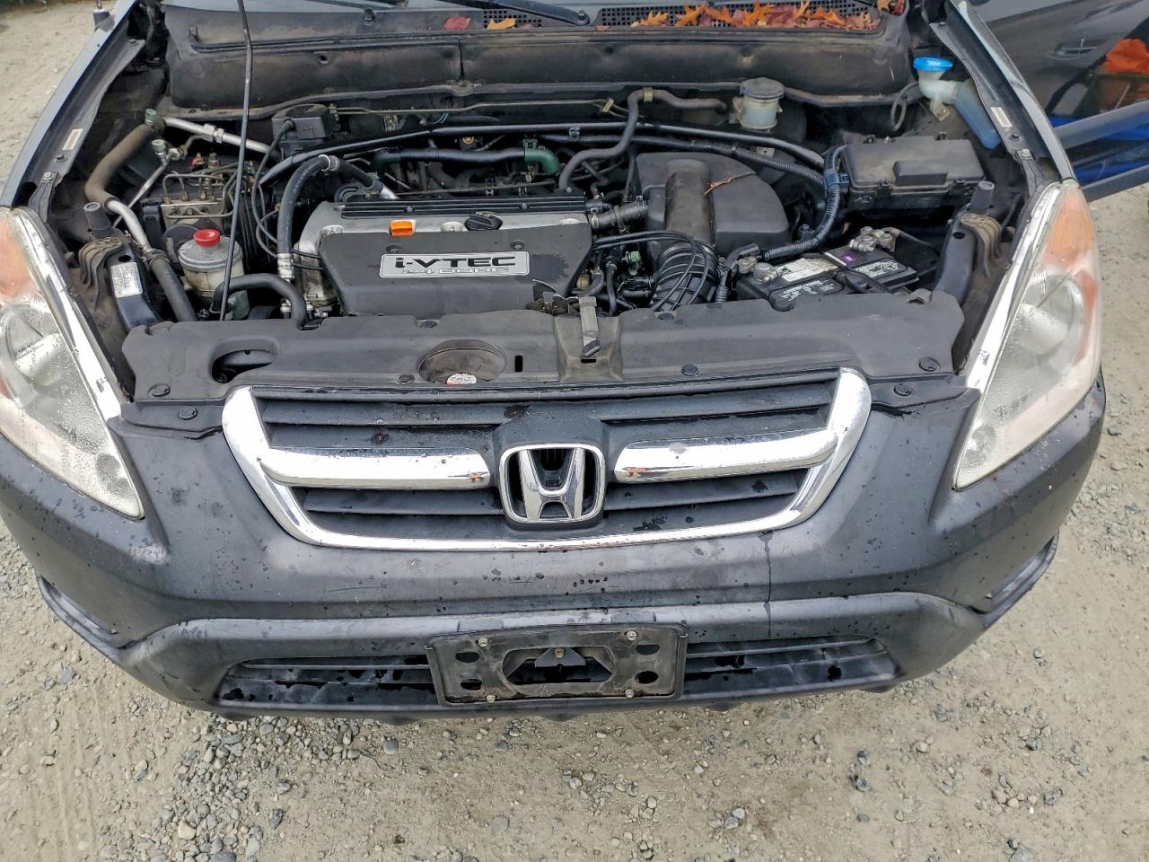 Lot #3305713753 2004 HONDA CR-V EX