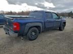 Lot #3310445342 2010 CHEVROLET SILVERADO