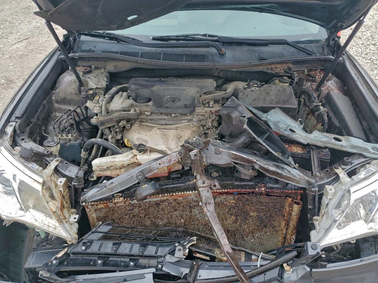 Lot #3310468069 2014 TOYOTA CAMRY L