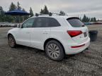 Lot #3303758441 2013 AUDI Q5 PREMIUM