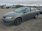 Lot #3312321773 2005 TOYOTA CAMRY LE