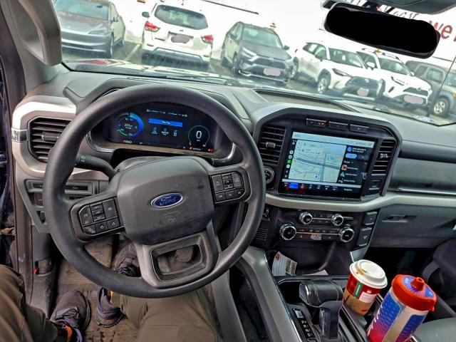 2022 FORD F150 LIGHT #3316703416