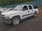 Lot #3316081282 2003 CHEVROLET SUBURBAN K