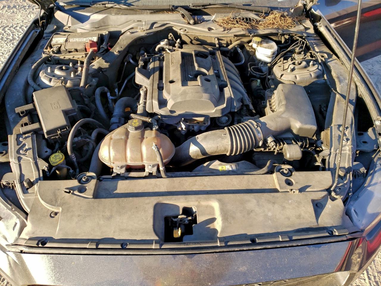 Lot #3318020375 2015 FORD MUSTANG