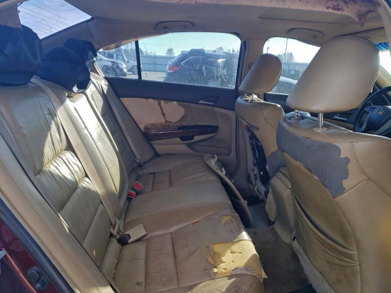 2008 HONDA ACCORD EXL #3317727079