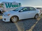 Lot #3302632126 2011 TOYOTA COROLLA BA