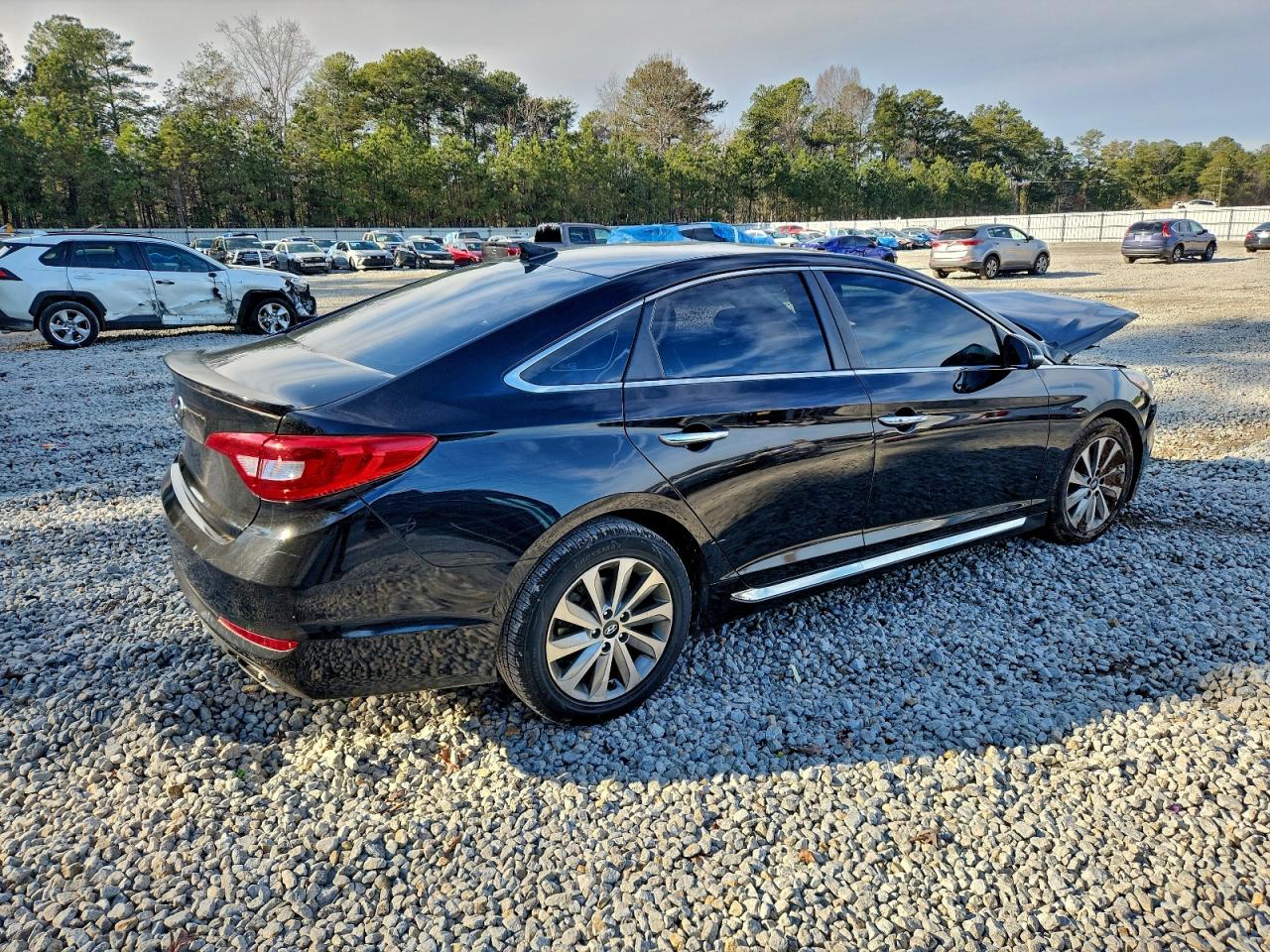 Lot #3315976090 2016 HYUNDAI SONATA SPO