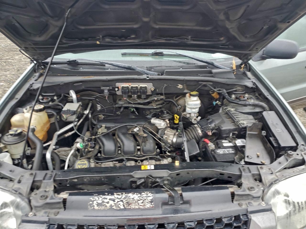 Lot #3315707463 2005 FORD ESCAPE XLT