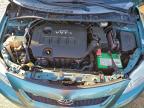 Lot #3315883107 2010 TOYOTA COROLLA BA