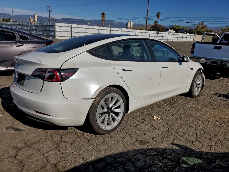 2022 TESLA MODEL 3 #3304501539