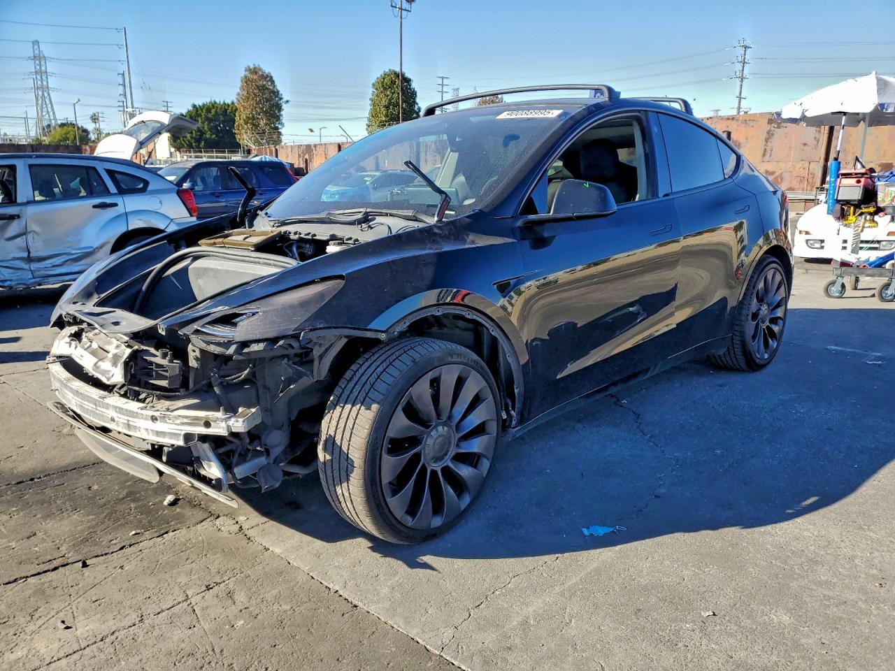 Lot #3309772853 2021 TESLA MODEL Y