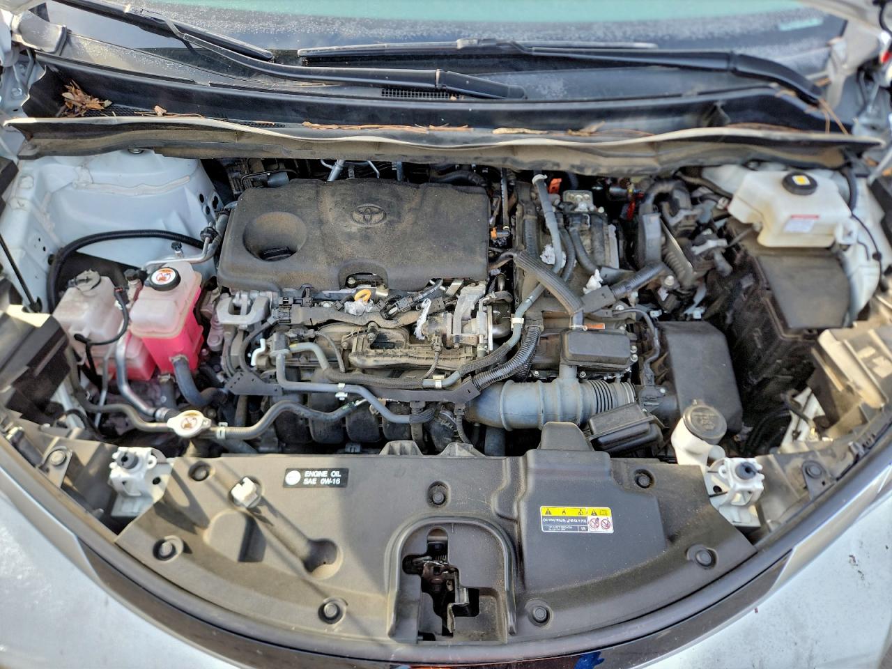 TOYOTA SIENNA LIMITED