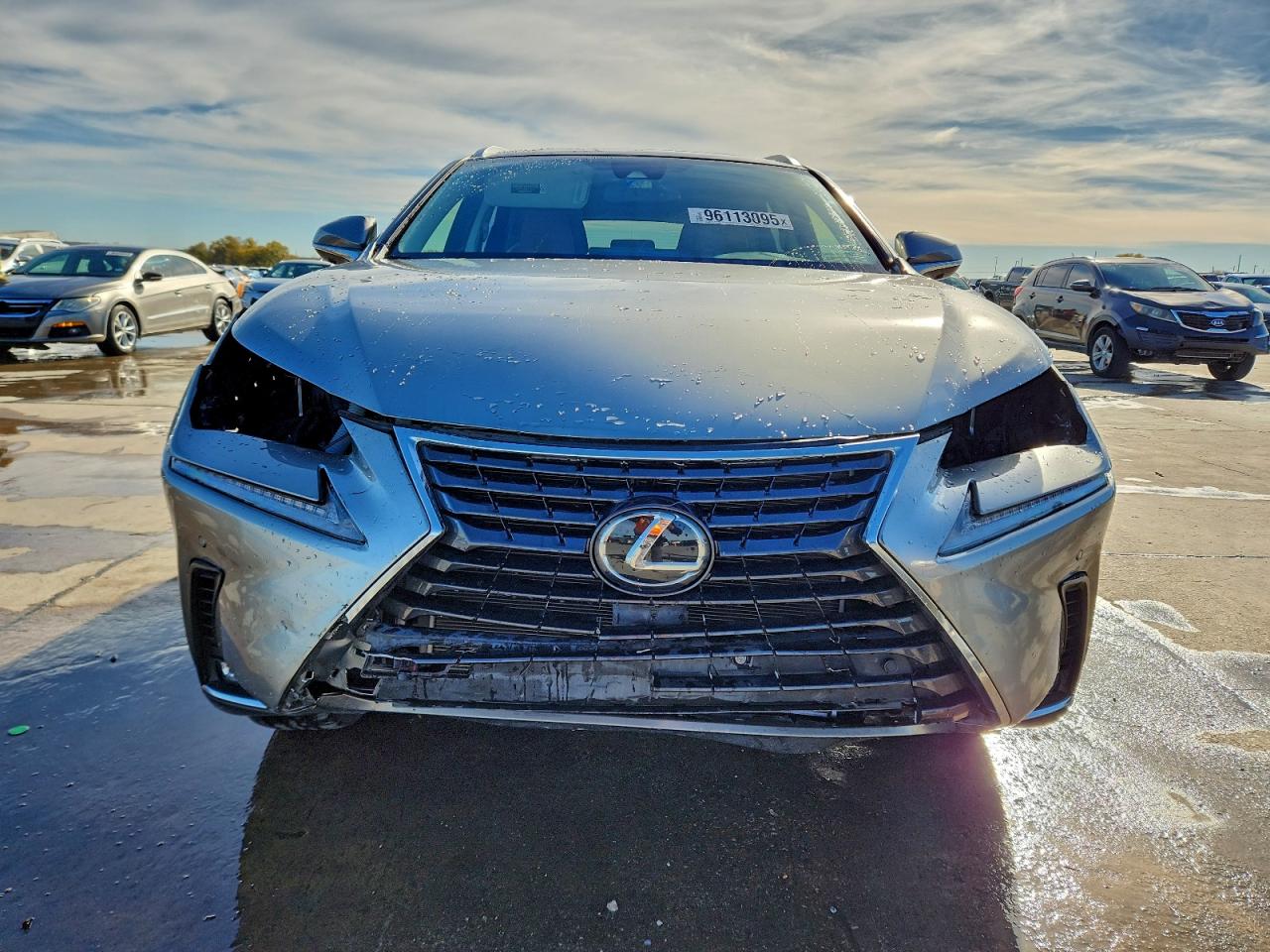 LEXUS NX 300