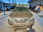 Lot #3315604787 2009 TOYOTA CAMRY BASE