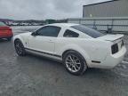 Lot #3308496111 2007 FORD MUSTANG