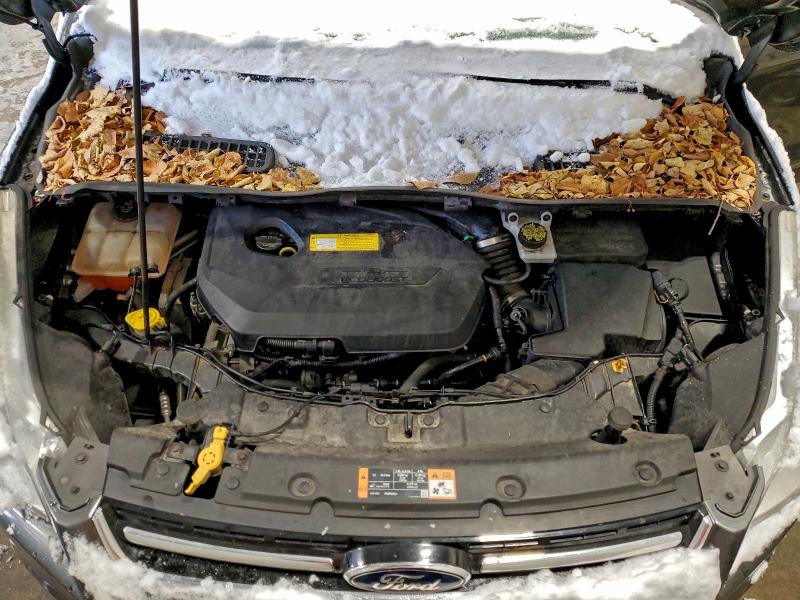 2015 FORD ESCAPE TIT #3312387121