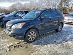 Lot #3303747446 2007 HONDA CR-V EXL