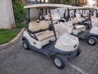 Lot #3304530518 2022 CLUB CAR TEMPO FLA